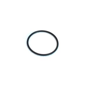 o-ring-fuer-anschlussverschraubung-speck-badu-pumpen.jpg