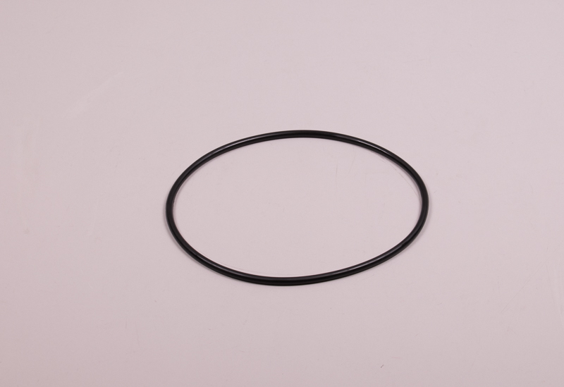 Astral O-Ring.jpg